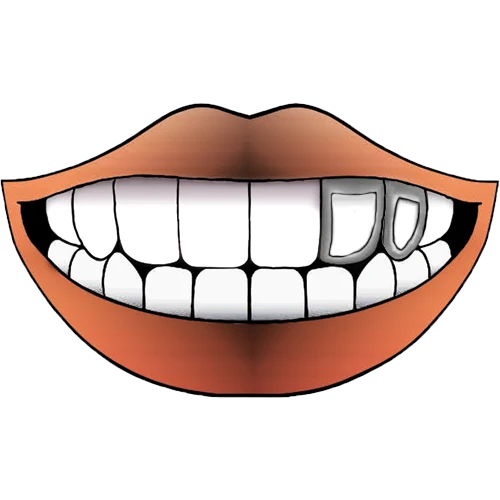 DOUBLE STEEL WINDOW GRILLZ - Bild 2